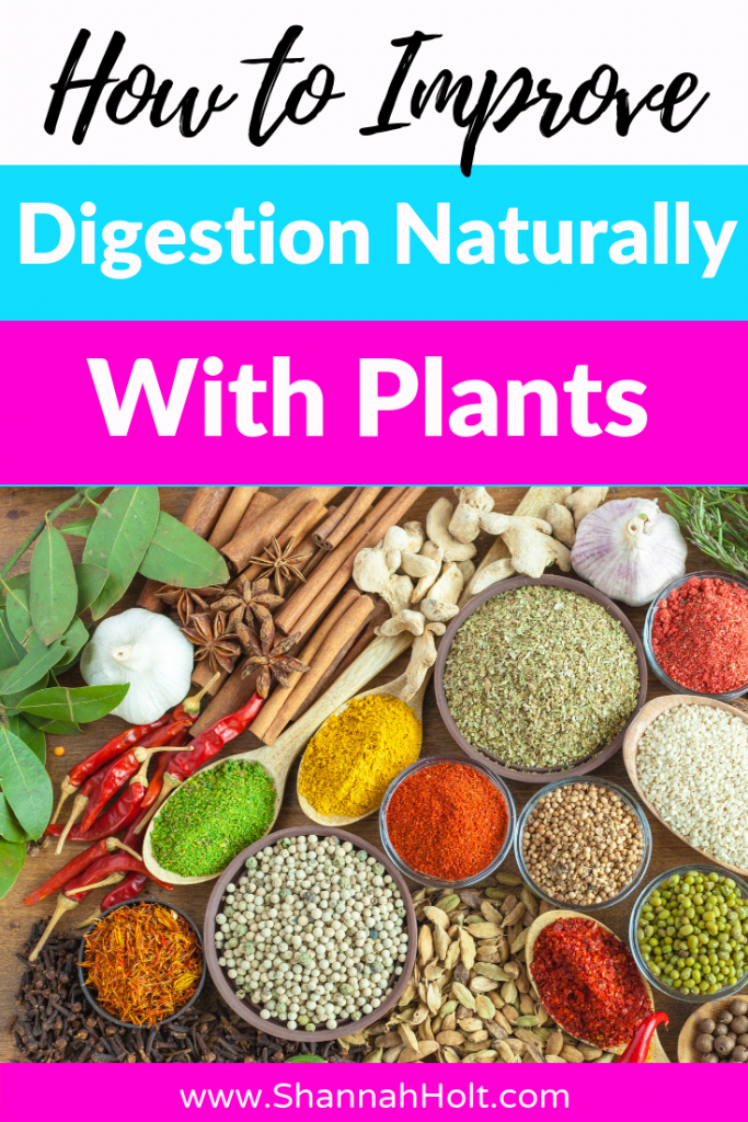 How to Improve Digestion Naturally With Plants and Herbs