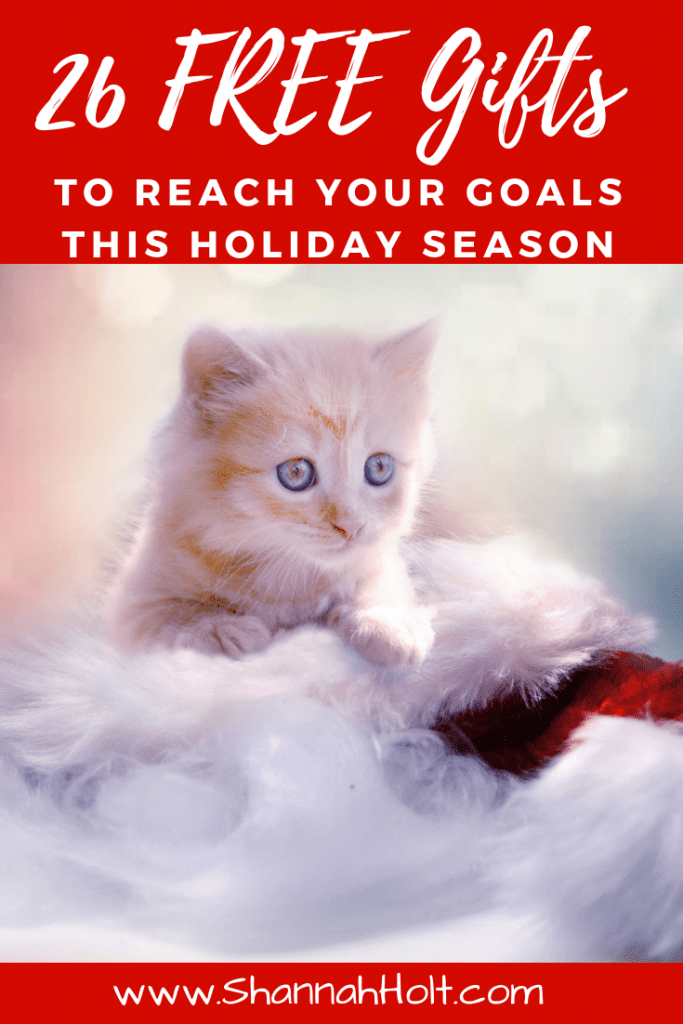 Kitten surrounded by a Christmas holiday setting with text above 26 free gifts to reach your goals this holiday season