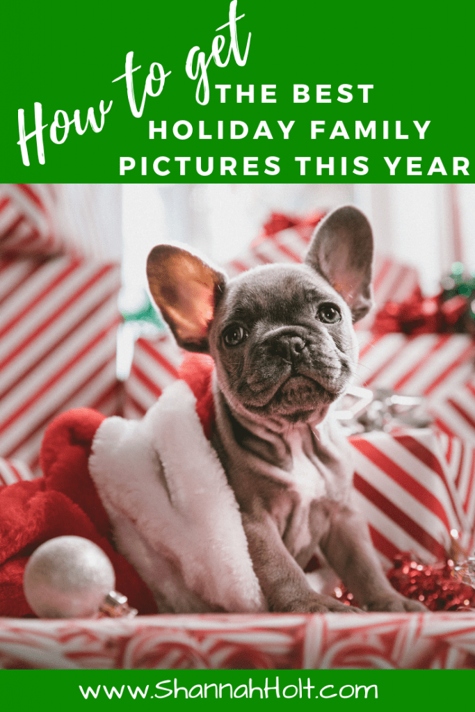 Little dog posing for a Christmas picture surrounded by holiday presents with text How to have the best holiday family pictures this year.