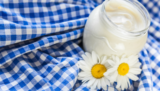 Yogurt on a blue checkered tablecloth with two daisies.